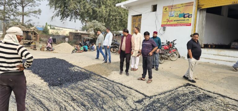 रूद्रपुर । वार्ड नंबर एक फुलसुंगी में सड़क की मरम्मत के कार्यों का भाजपा प्रदेश मंत्री विकास शर्मा ने स्थलीय निरीक्षण किया। उन्होंने निर्माण कार्यों को लेकर आवश्यक दिशा निर्देश भी दिये