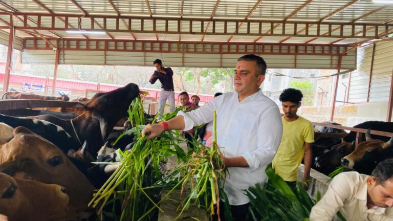 हल्द्वानी_विधायक सुमित हृदयेश ने स्व. डॉ. इंदिरा हृदयेश जी की पुण्यतिथि पर गौशाला पहुँचकर की गौसेवा