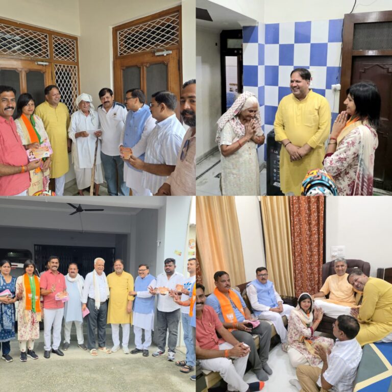 महापौर विकास शर्मा ने ग्राम मलसा में किया जनसंपर्क भाजपा प्रत्याशी कोमल चौधरी के समर्थन में मांगा जनादेश