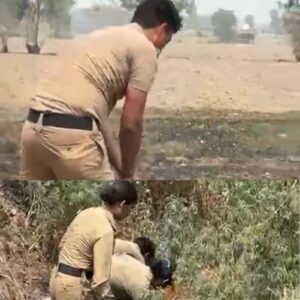 काशीपुर, ऊधम सिंह नगर में विशेष सघन प्रवर्तन अभियान के तहत माननीय आबकारी आयुक्त  एवं जिला आबकारी अधिकारी उधम सिंह नगर के आदेश पर अवैध कच्ची शराब के निर्माण व बिक्री एवं भंडारण के अड्डों के समूल विनिष्टीकरण के क्रम में अपराध निरोध क्षेत्र-03 काशीपुर के ग्राम कनकपुर एवं खाईखेड़ा में दबिश दी गई।