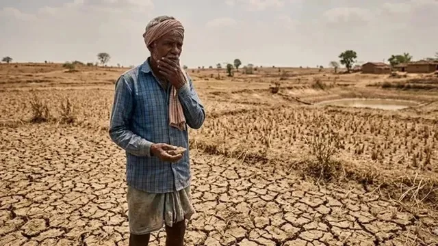 राजस्थान: 31 जिलों में चारे-पानी का संकट, दूसरे राज्यों से मांगी मदद