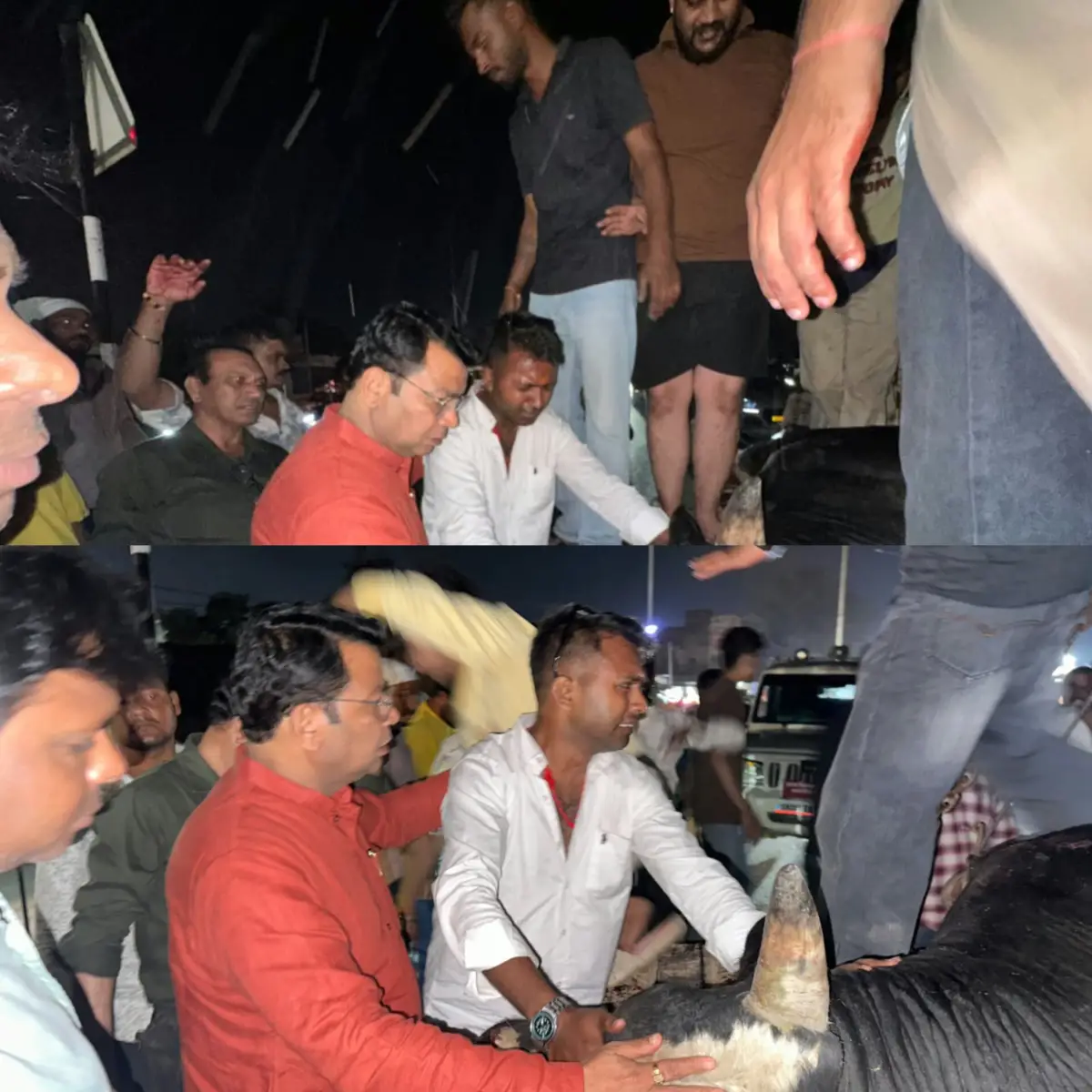 बुरी तरह घायल नंदी को देखकर रुके विधायक शिव अरोरा, तत्काल गौ रक्षा दल की टीम के साथ रेस्क्यू कर उपचार के लिए भिजवाया