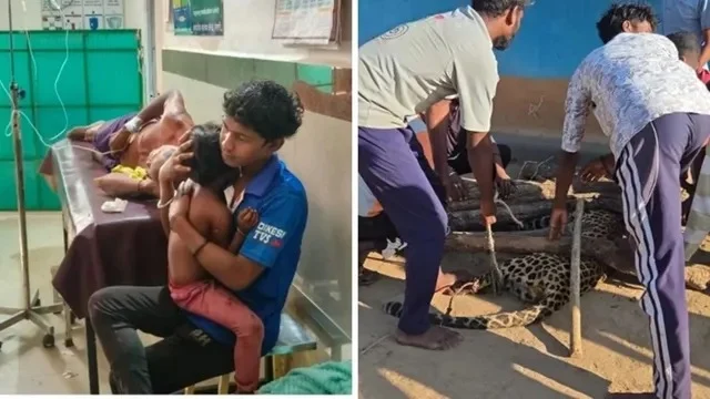 छत्तीसगढ़: 4 साल की बेटी को बचाने के लिए तेंदुए से भिड़ा पिता
