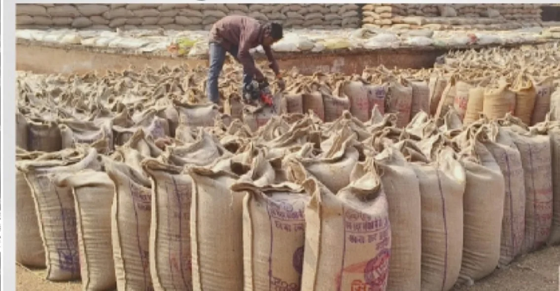 : धान खरीदी पर किसानों की नजरें, साय कैबिनेट बैठक से जगी उम्मीद