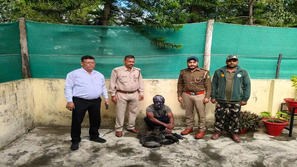 शारदा सागर डैम में 12 प्रवासी पक्षियों का शिकार, एक आरोपी फरार